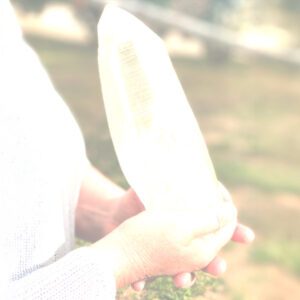 June: Light and body