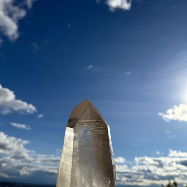 2025-11-Weltengedaechtnis